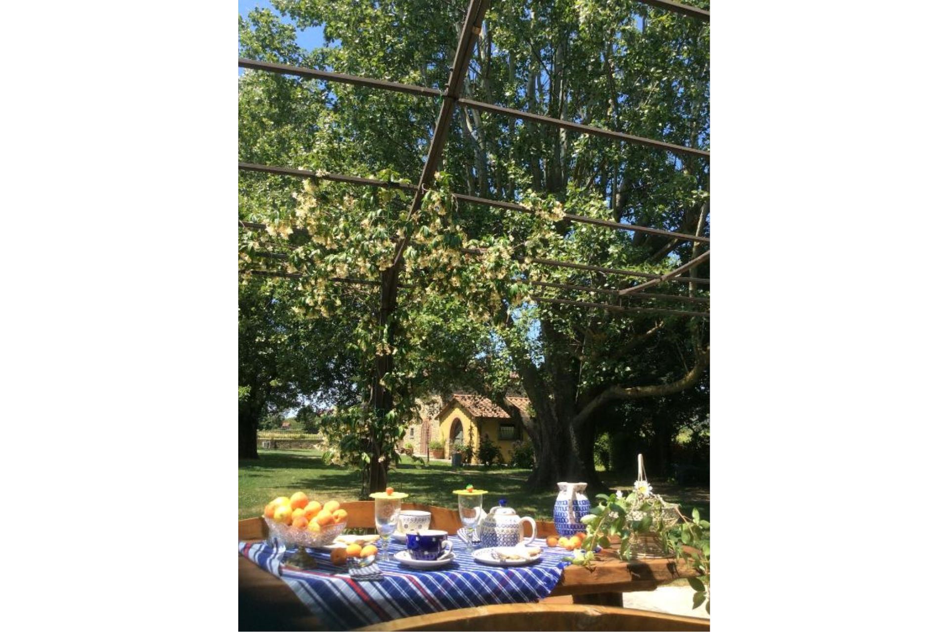 VILLAS WITH POOL VILLA USIGNOLO CASTIGLION FIORENTINO TOSCANA