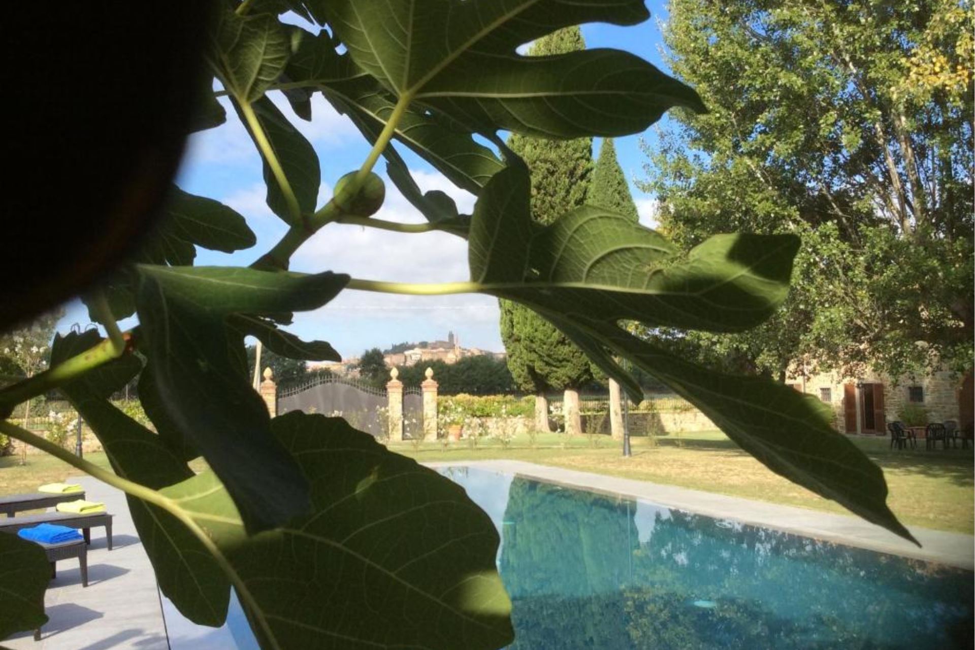 VILLAS WITH POOL VILLA USIGNOLO CASTIGLION FIORENTINO TOSCANA
