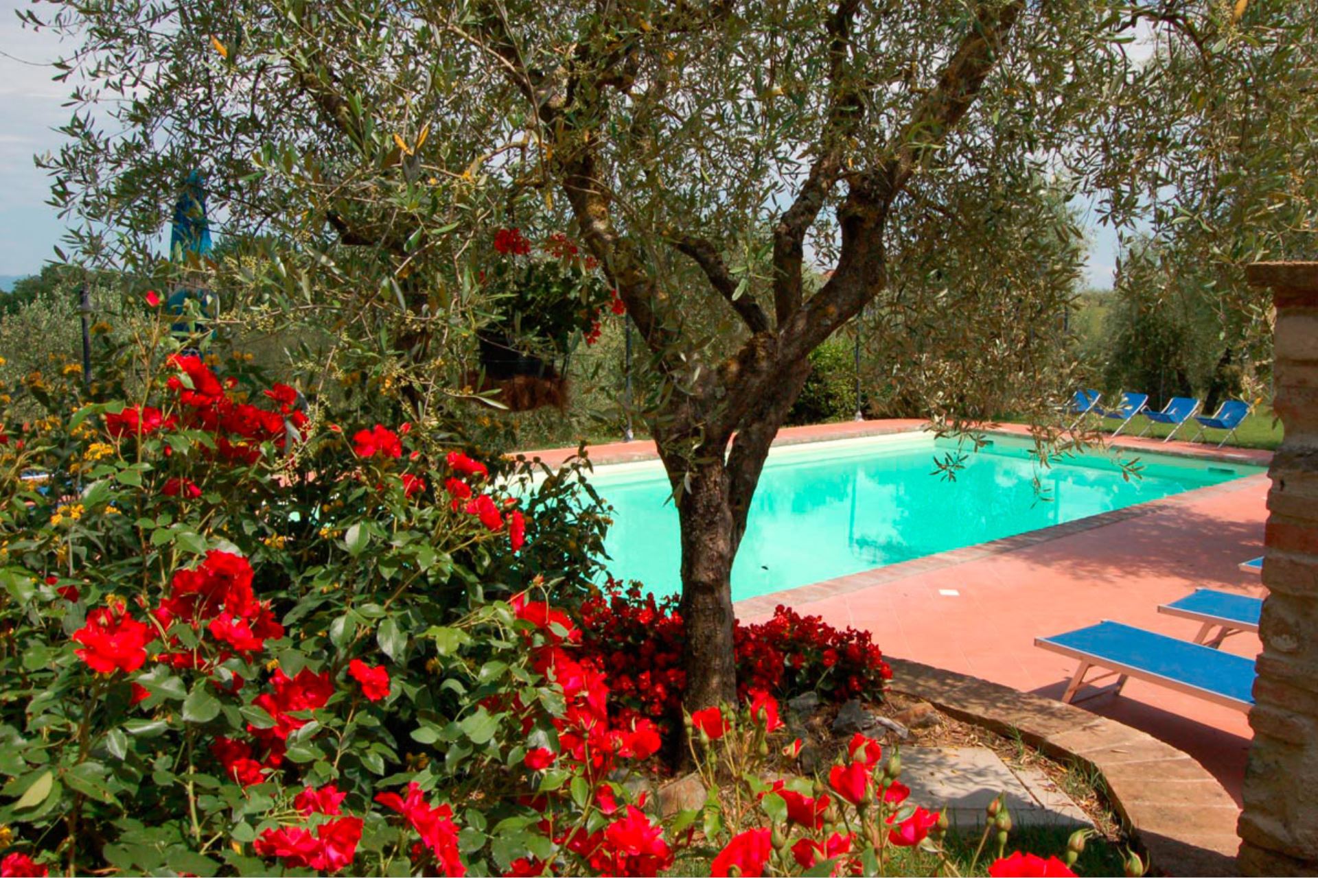 VILLE CON PISCINA VILLA SCANNAGALLO POZZO DELLA CHIANA TOSCANA
