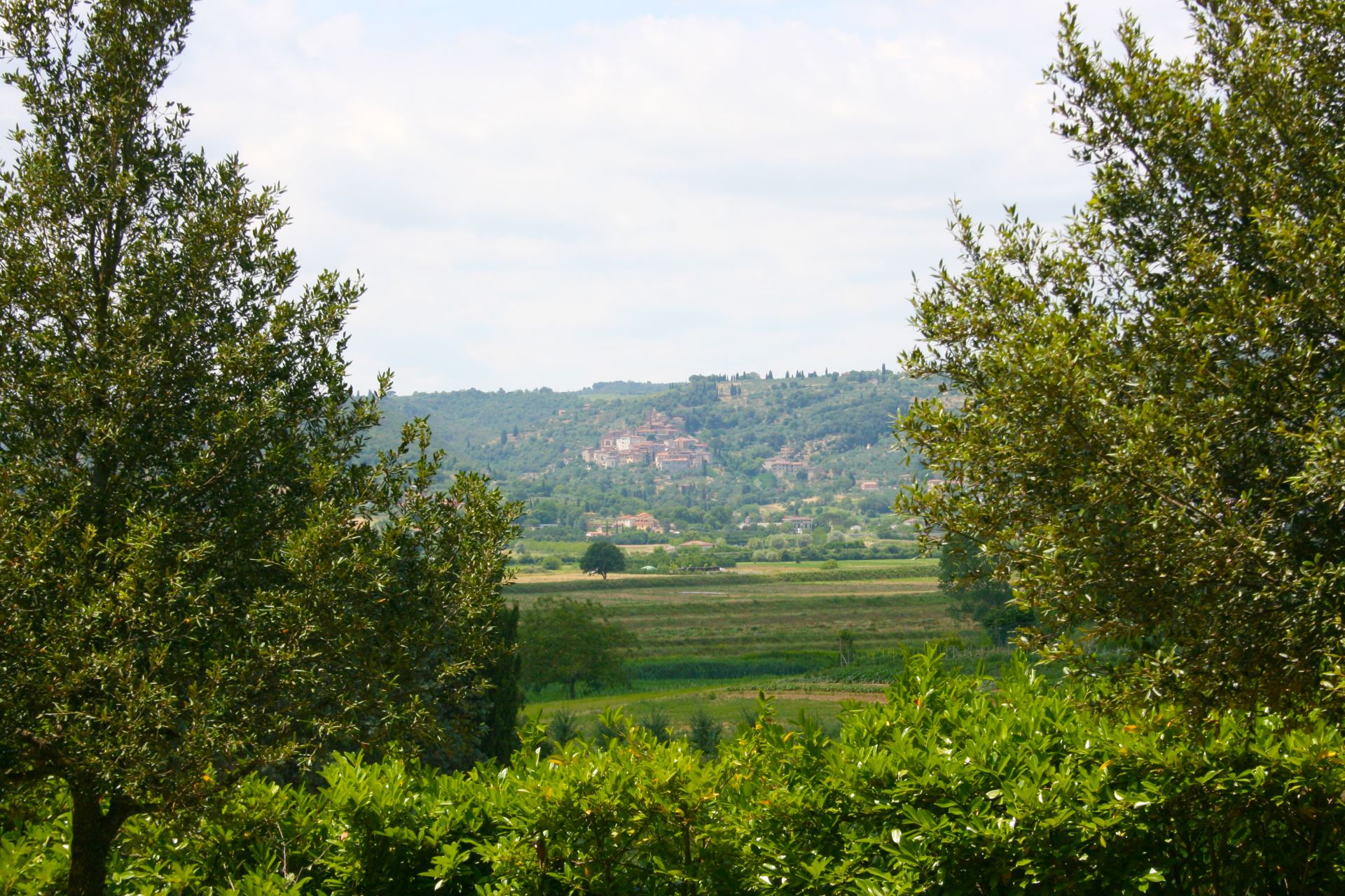 VILLAS WITH POOL LA CONTEA LUCIGNANO TOSCANA