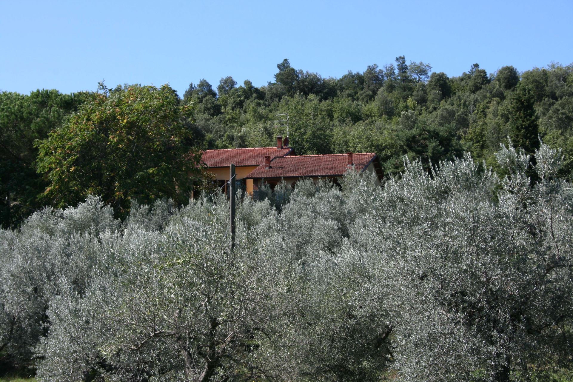 VILLAS WITH POOL LA MAESTA MONTE SAN SAVINO TOSCANA