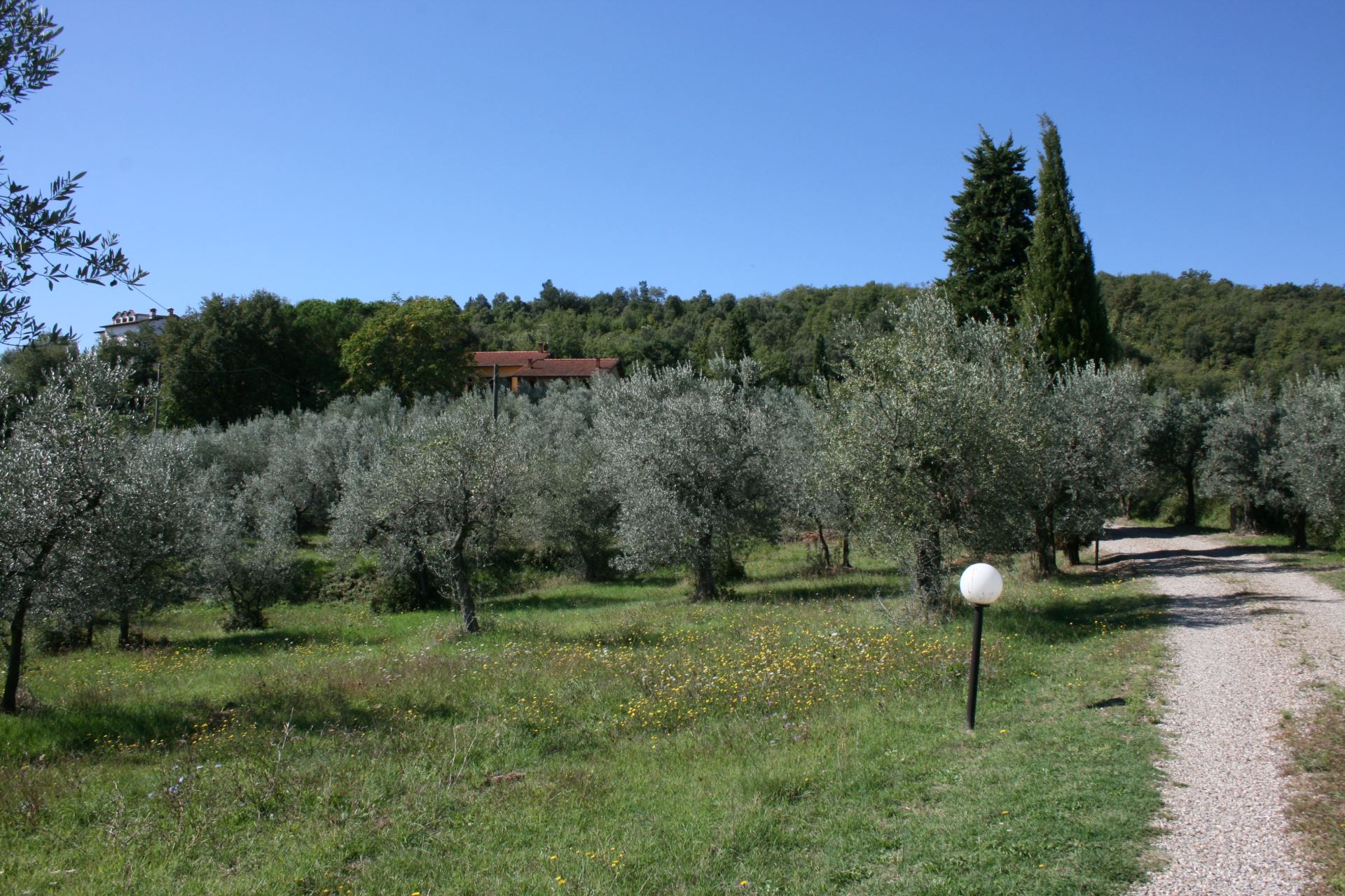 VILLAS WITH POOL LA MAESTA MONTE SAN SAVINO TOSCANA