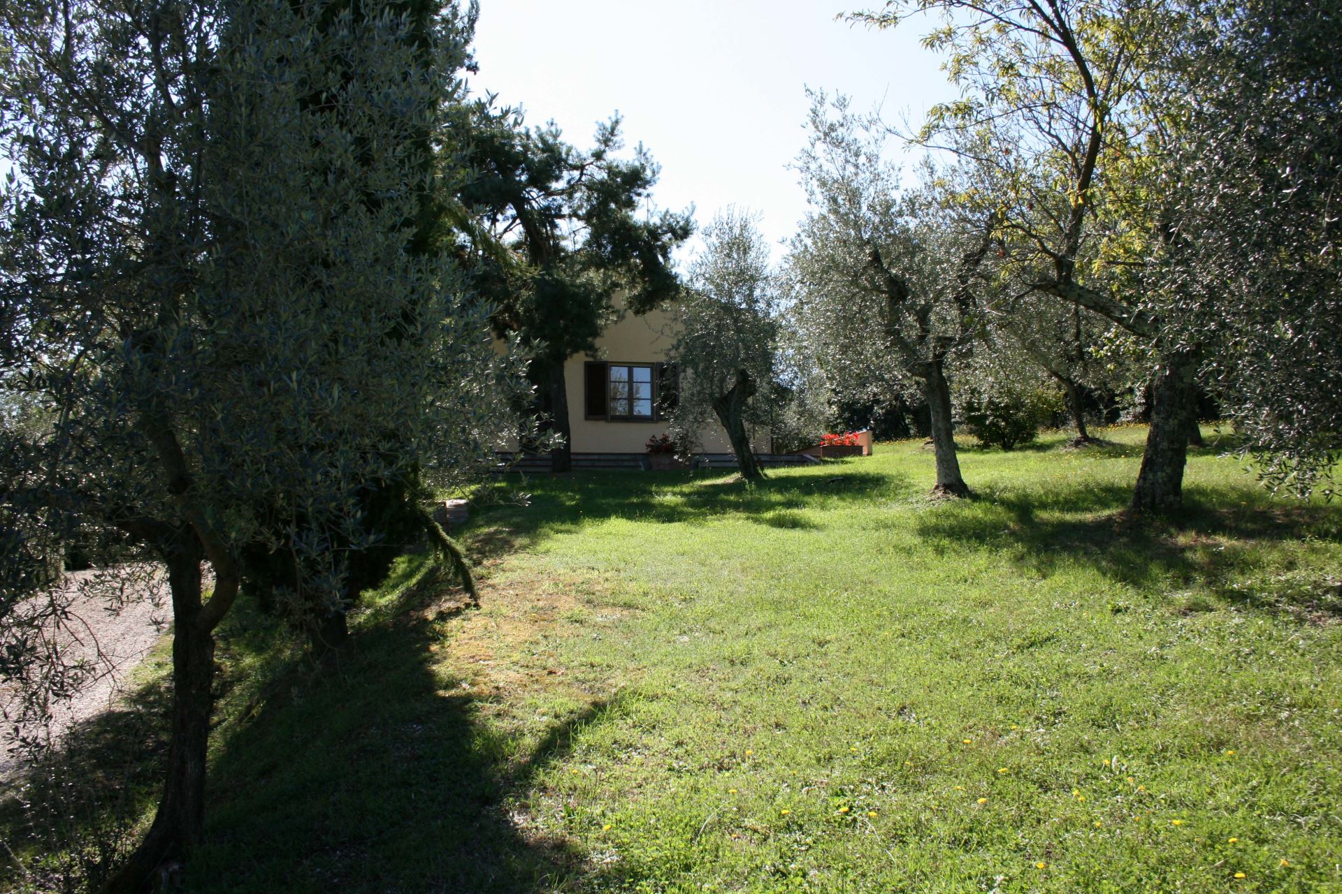 VILLAS WITH POOL LA MAESTA MONTE SAN SAVINO TOSCANA