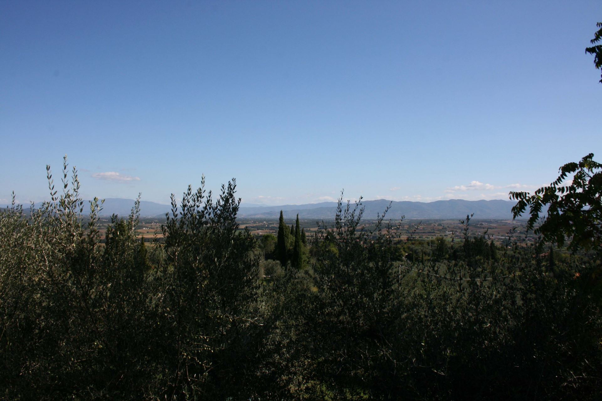 VILLAS WITH POOL LA MAESTA MONTE SAN SAVINO TOSCANA