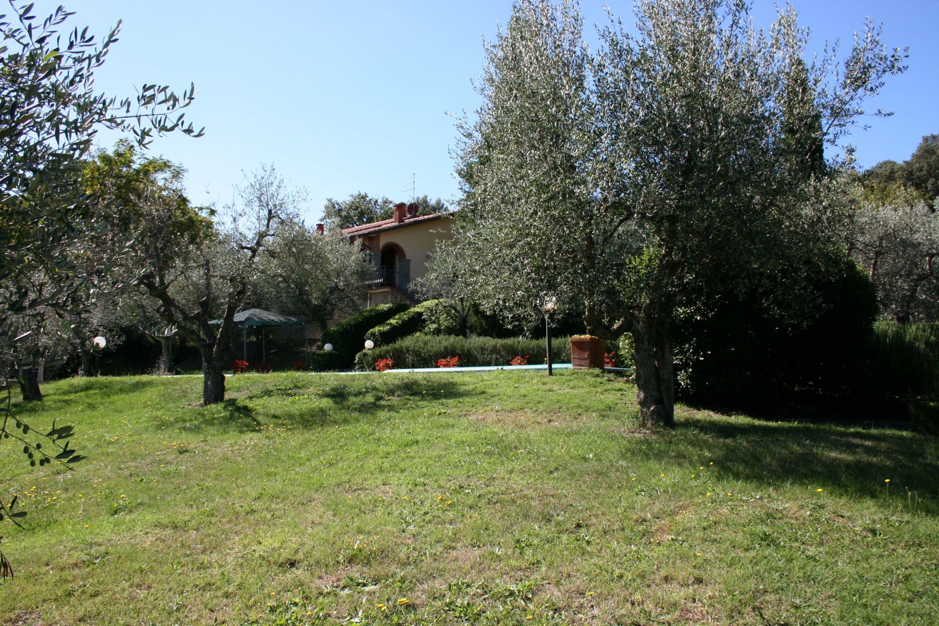 VILLAS WITH POOL LA MAESTA MONTE SAN SAVINO TOSCANA