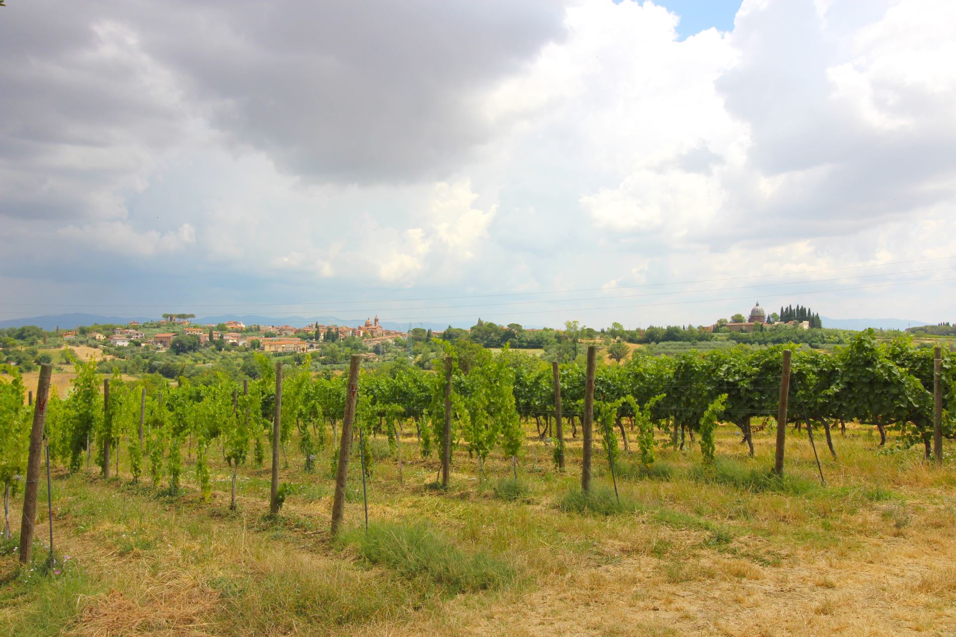 WOHNUNGEN MIT POOL SANTA VITTORIA FOIANO DELLA CHIANA TOSCANA