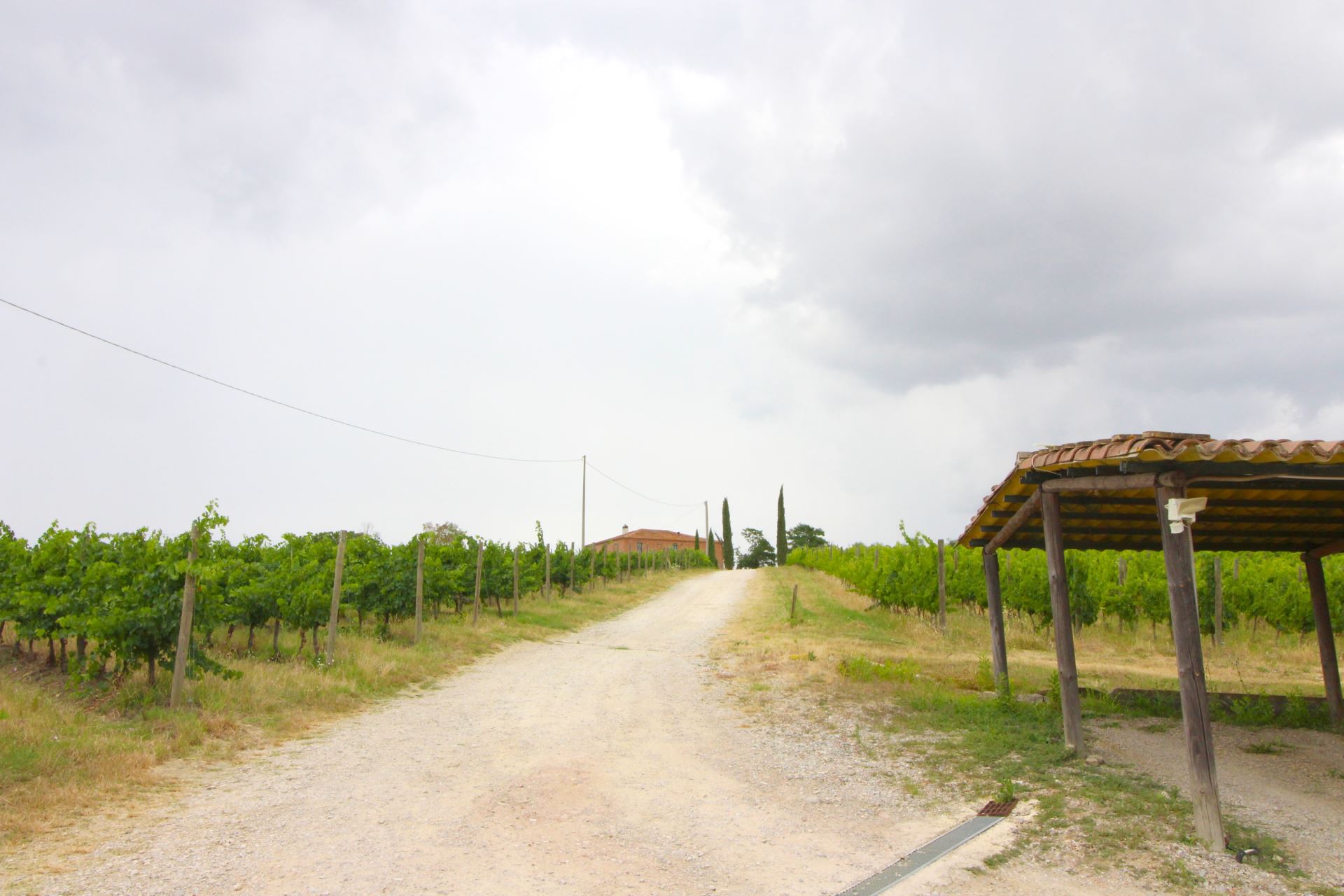 WOHNUNGEN MIT POOL SANTA VITTORIA FOIANO DELLA CHIANA TOSCANA