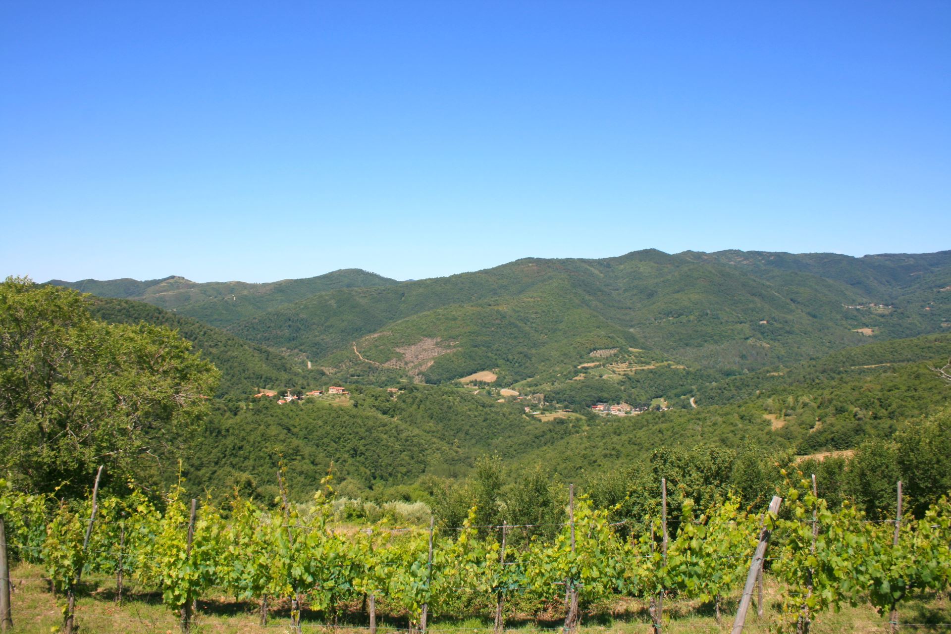 VILLE CON PISCINA BORGO ANTICO 8 CORTONA TOSCANA