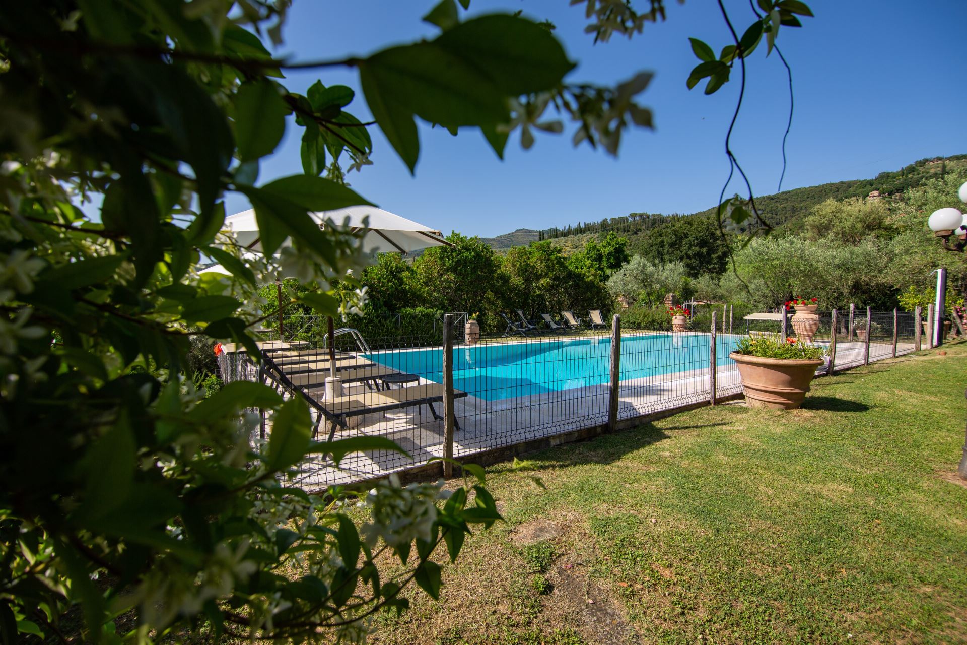VILLE CON PISCINA VILLA DEGLI OLIVI CASTIGLION FIORENTINO TOSCANA