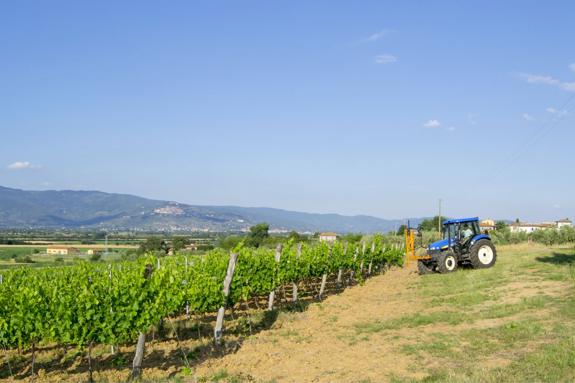 VILLAS WITH POOL VILLA CANTAGALLO CORTONA TOSCANA