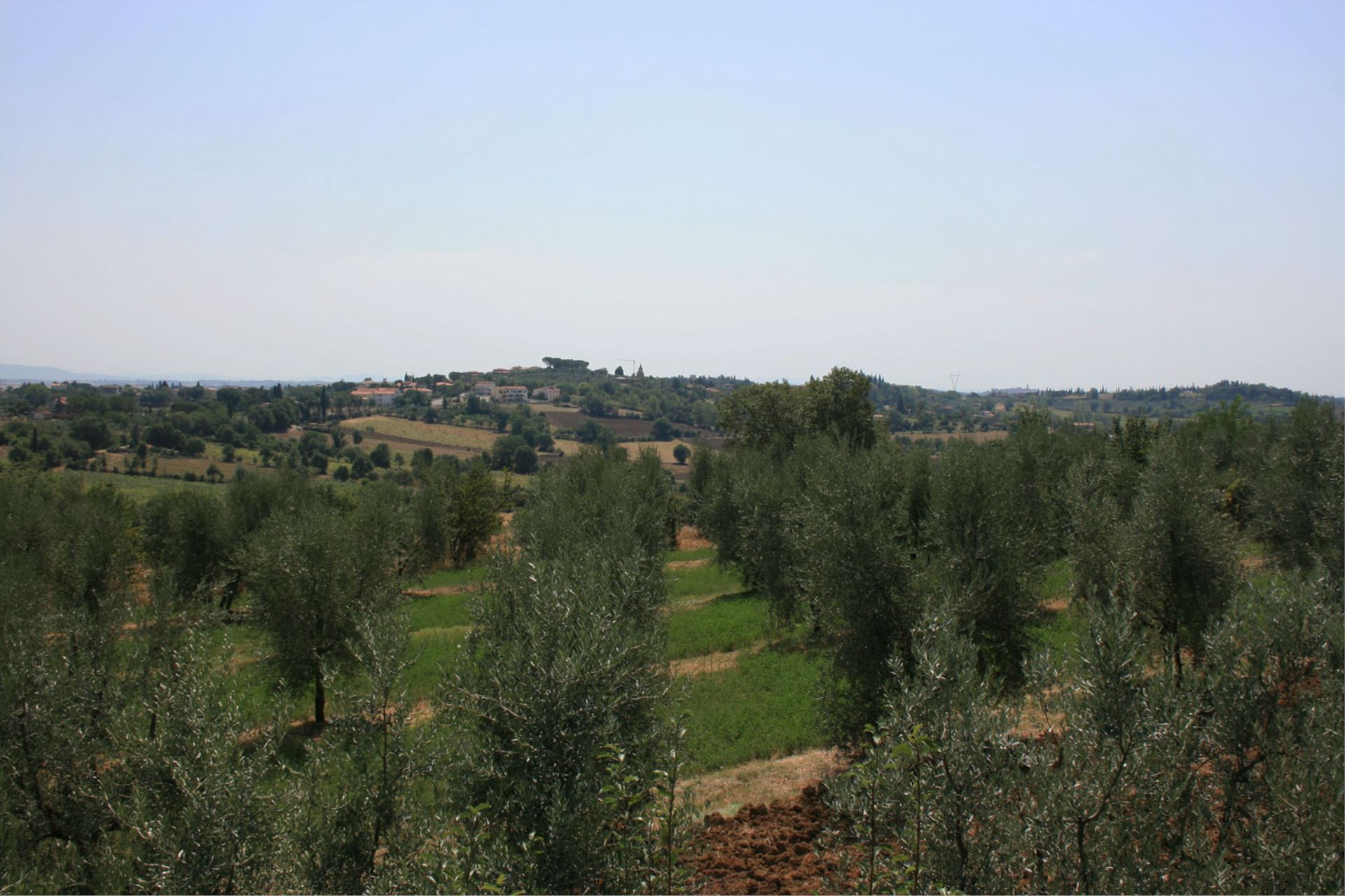WOHNUNGEN MIT POOL LA ROCCA MARCIANO TOSCANA