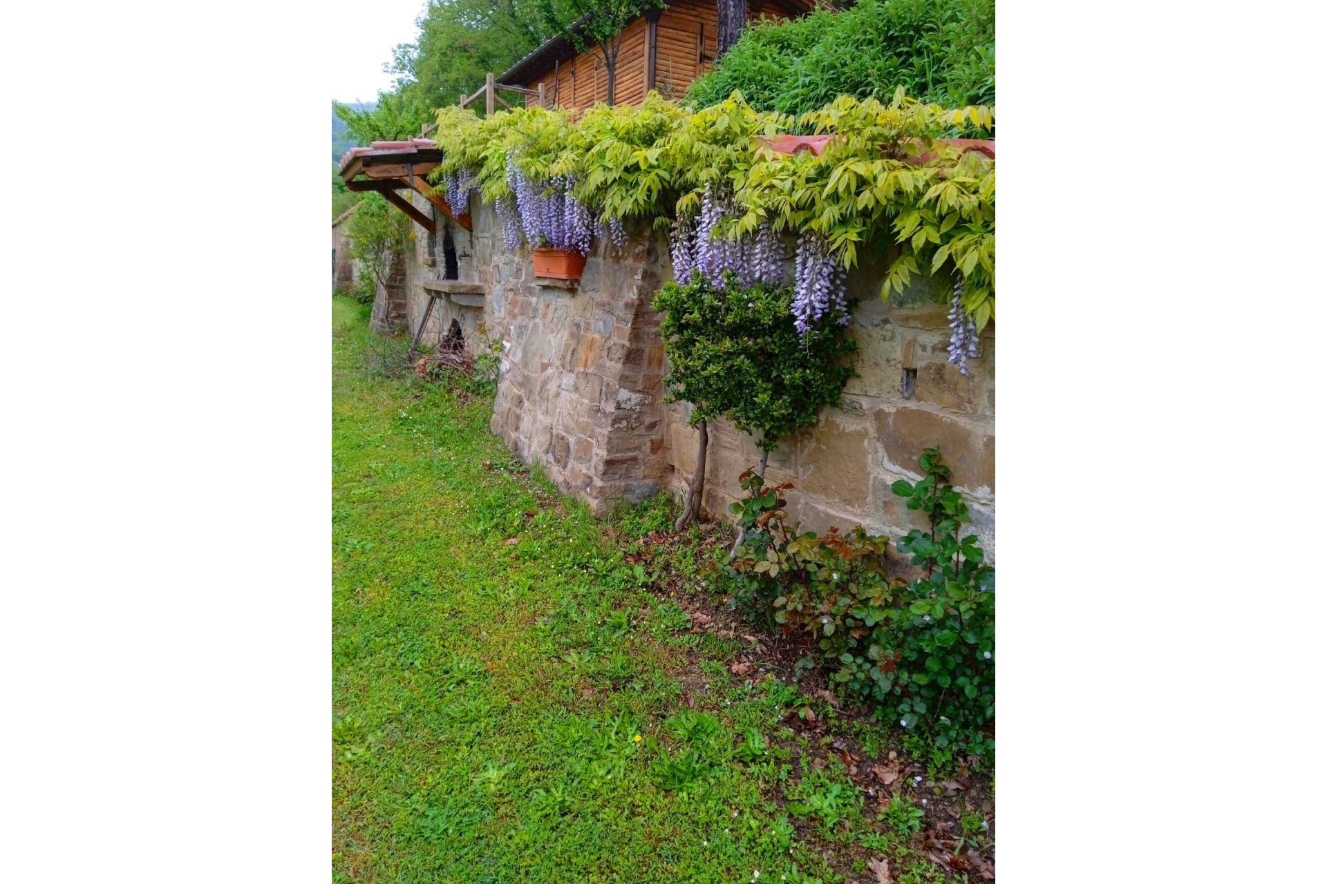 VILLAS WITH POOL LA CASA DI PINO CASTIGLION FIORENTINO TOSCANA