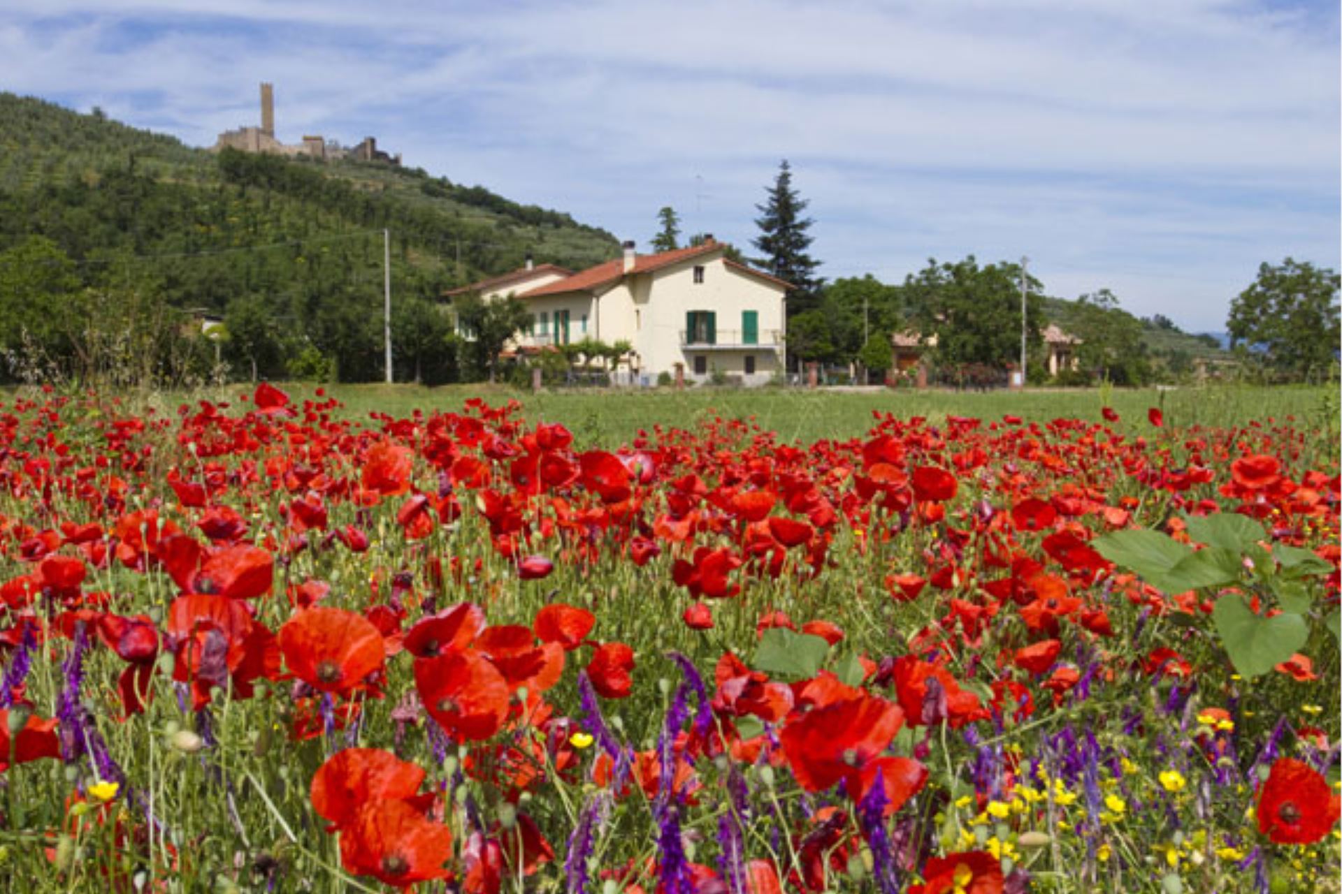 APARTMENTS WITH POOL CASA SAN MARTINO CASTIGLION FIORENTINO TOSCANA