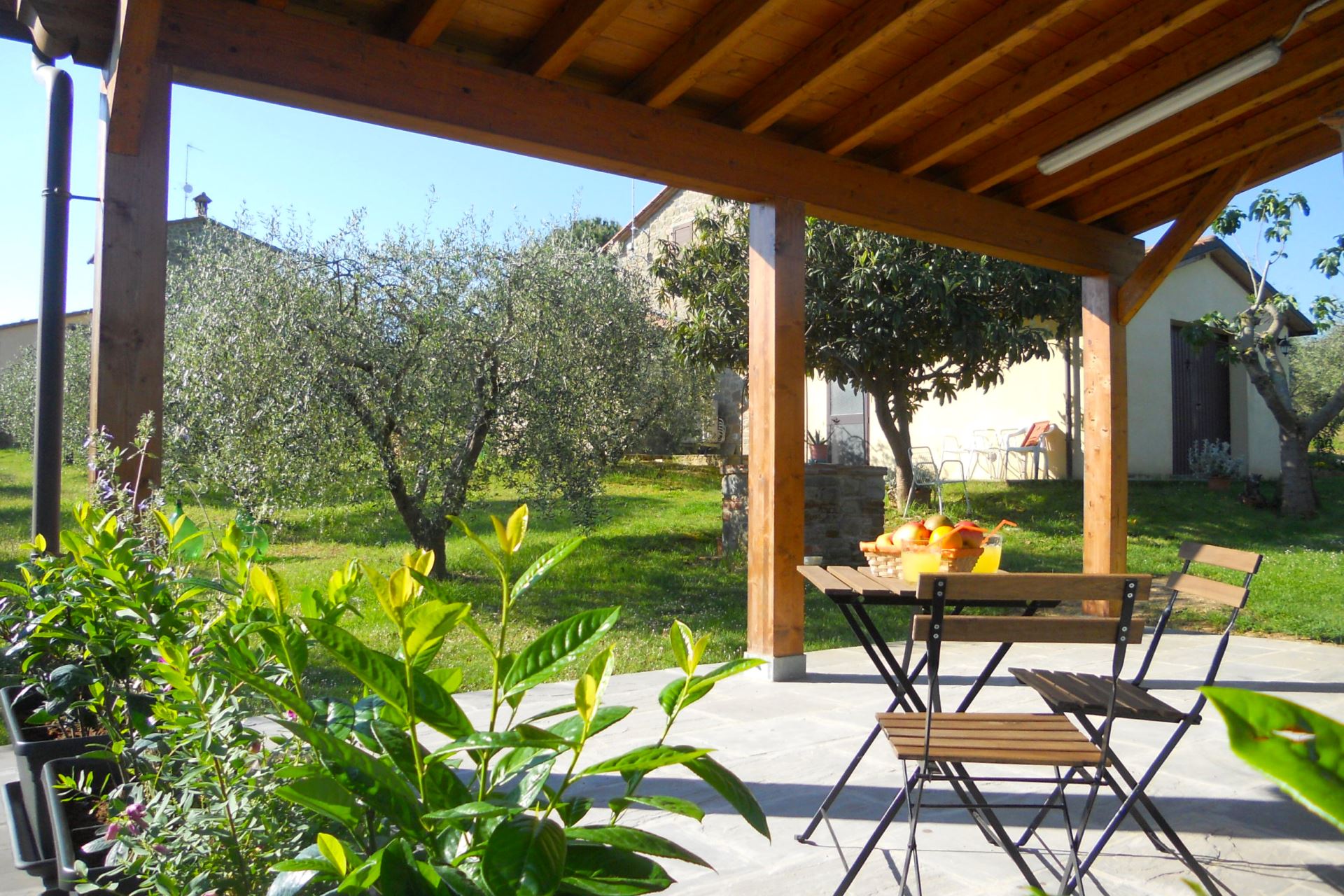 APARTMENTS WITH POOL SELVA DEGLI ULIVI FOIANO DELLA CHIANA TOSCANA