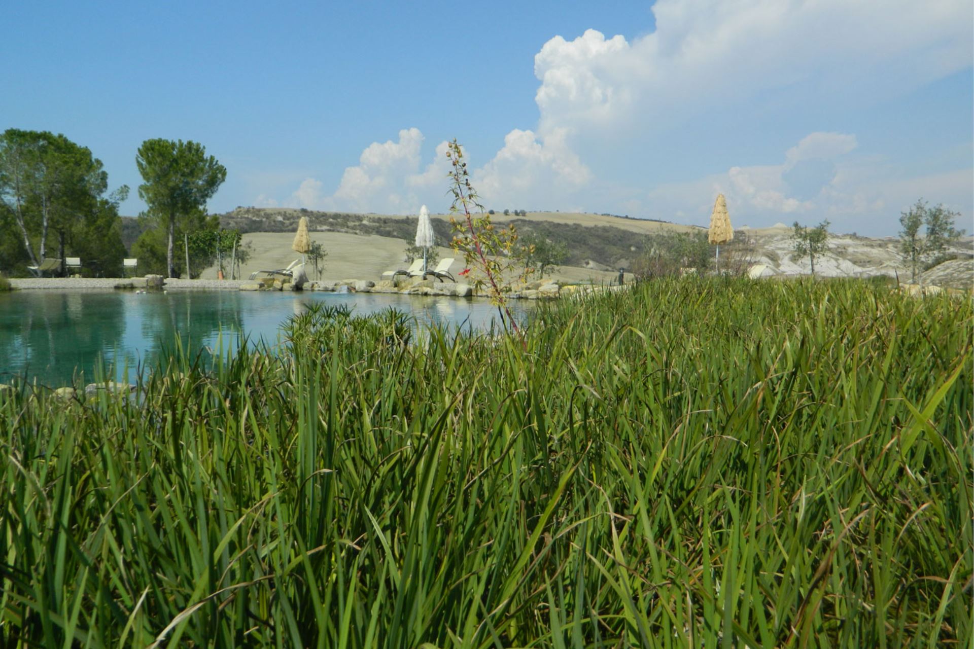 APARTMENTS WITH POOL IL LAGHETTO SAN QUIRICO D'ORCIA TOSCANA