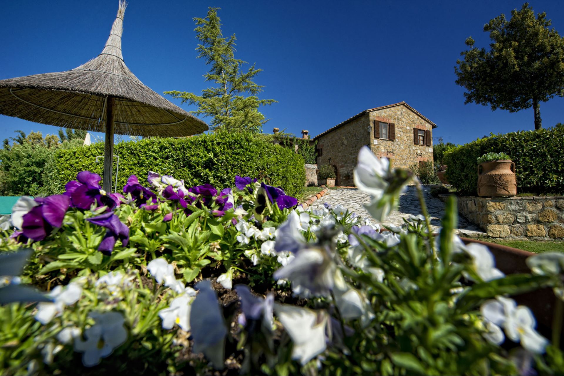 APARTMENTS WITH POOL IL CORTILE SAN QUIRICO D'ORCIA TOSCANA