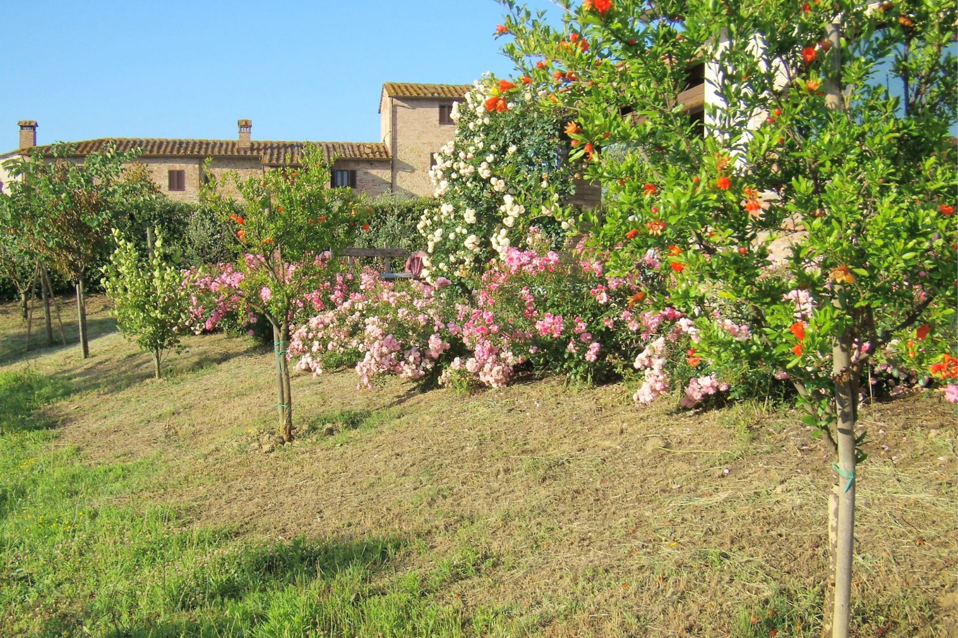 WOHNUNGEN MIT POOL FILOSTRATO GAMBASSI TERME TOSCANA