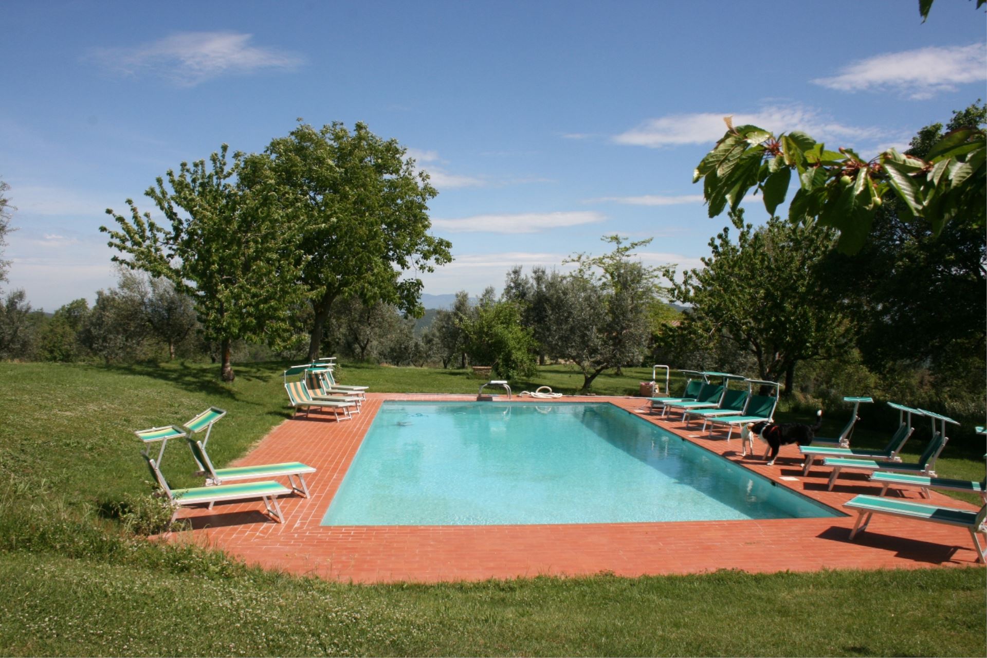 VILLAS WITH POOL VILLA BEVIGNANO MONTE SAN SAVINO TOSCANA