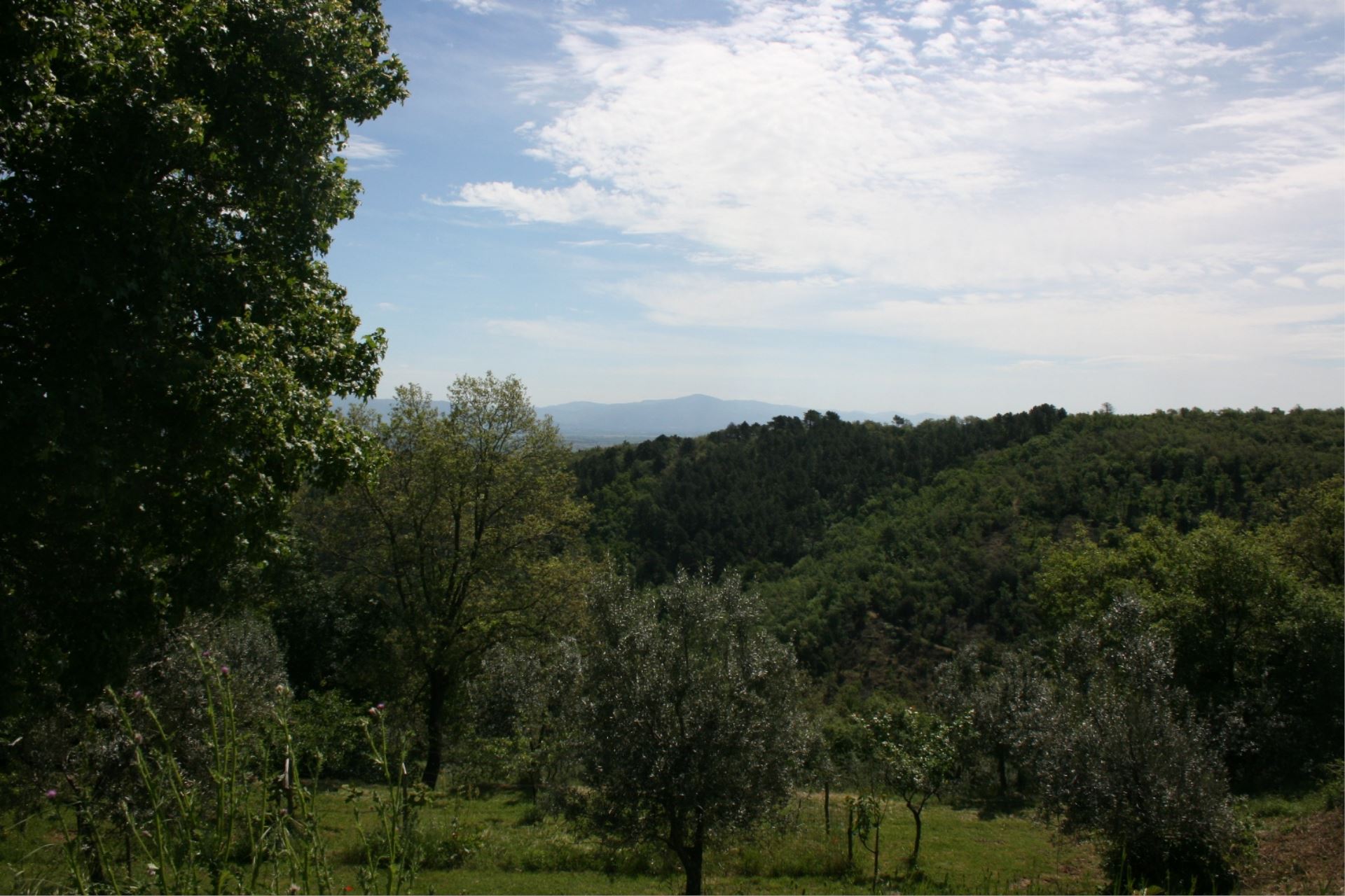 VILLAS WITH POOL VILLA BEVIGNANO MONTE SAN SAVINO TOSCANA
