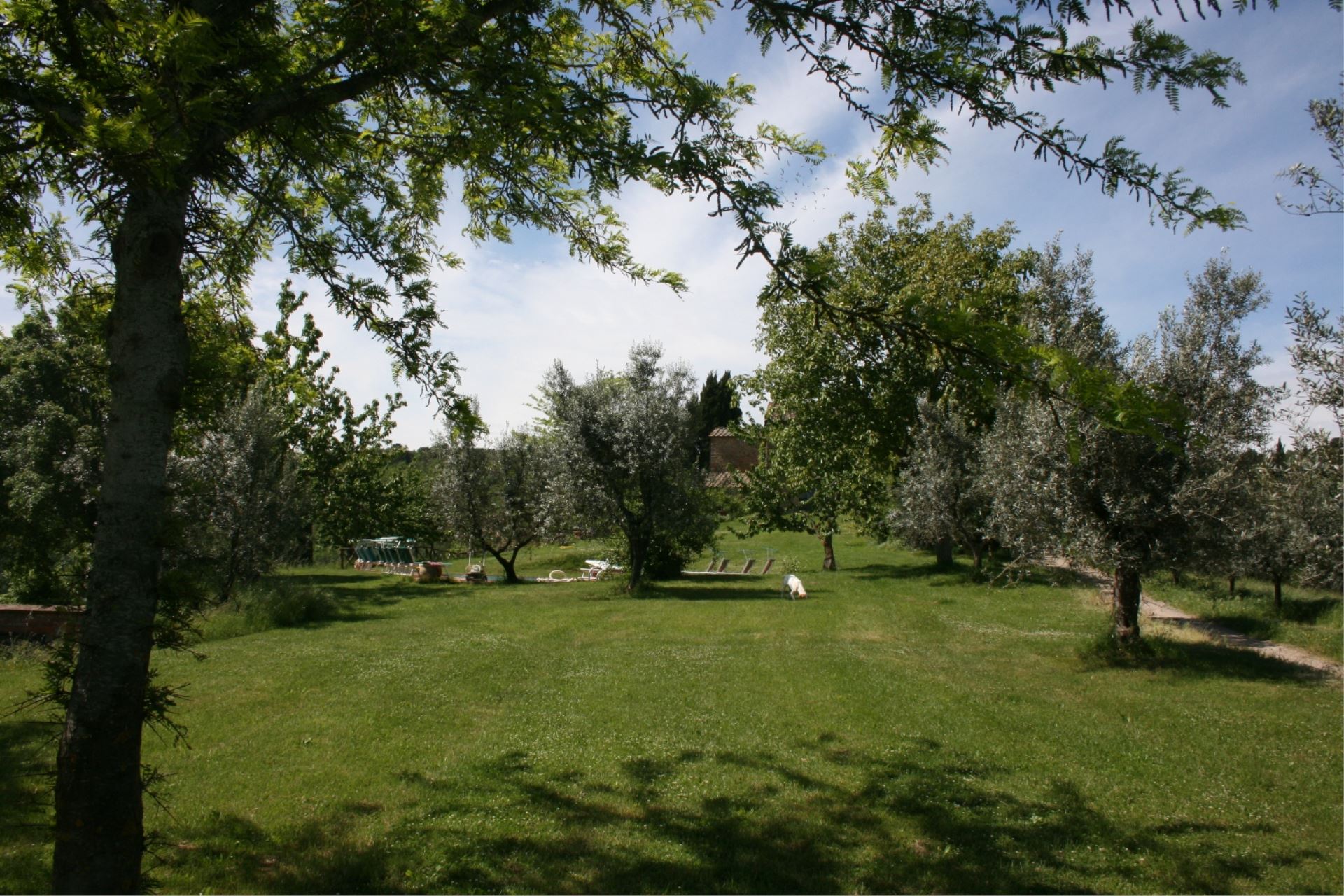 VILLAS WITH POOL VILLA BEVIGNANO MONTE SAN SAVINO TOSCANA