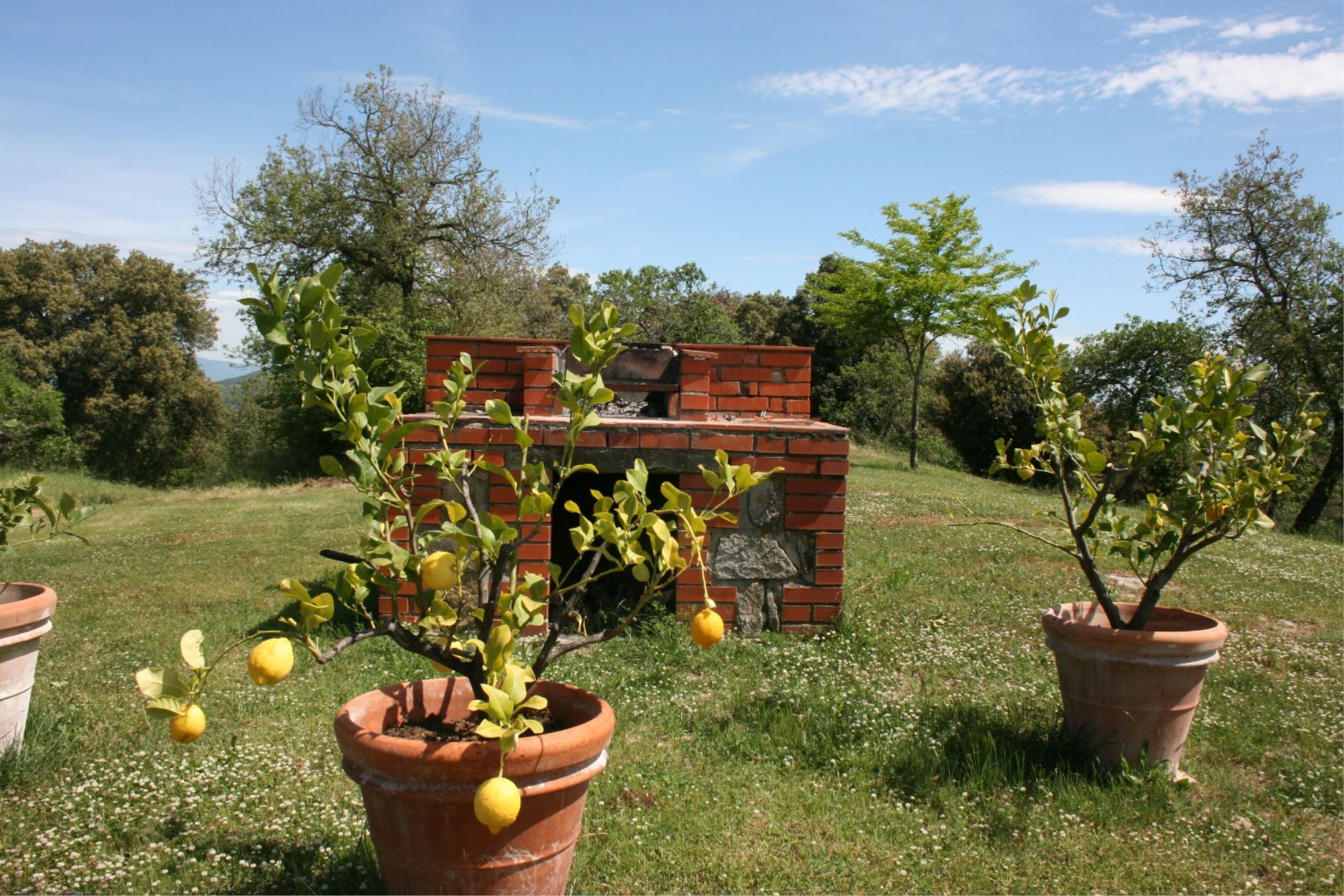 VILLAS WITH POOL VILLA BEVIGNANO MONTE SAN SAVINO TOSCANA