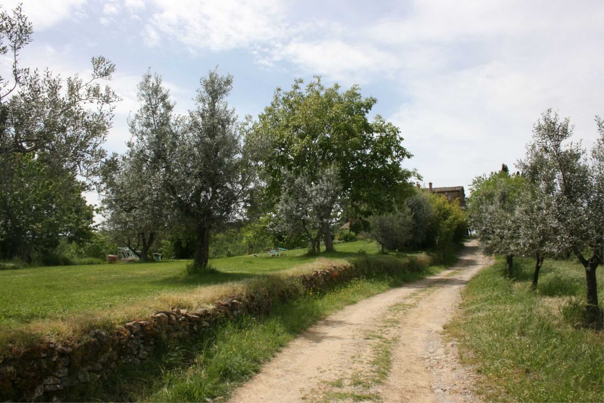 VILLAS WITH POOL VILLA BEVIGNANO MONTE SAN SAVINO TOSCANA