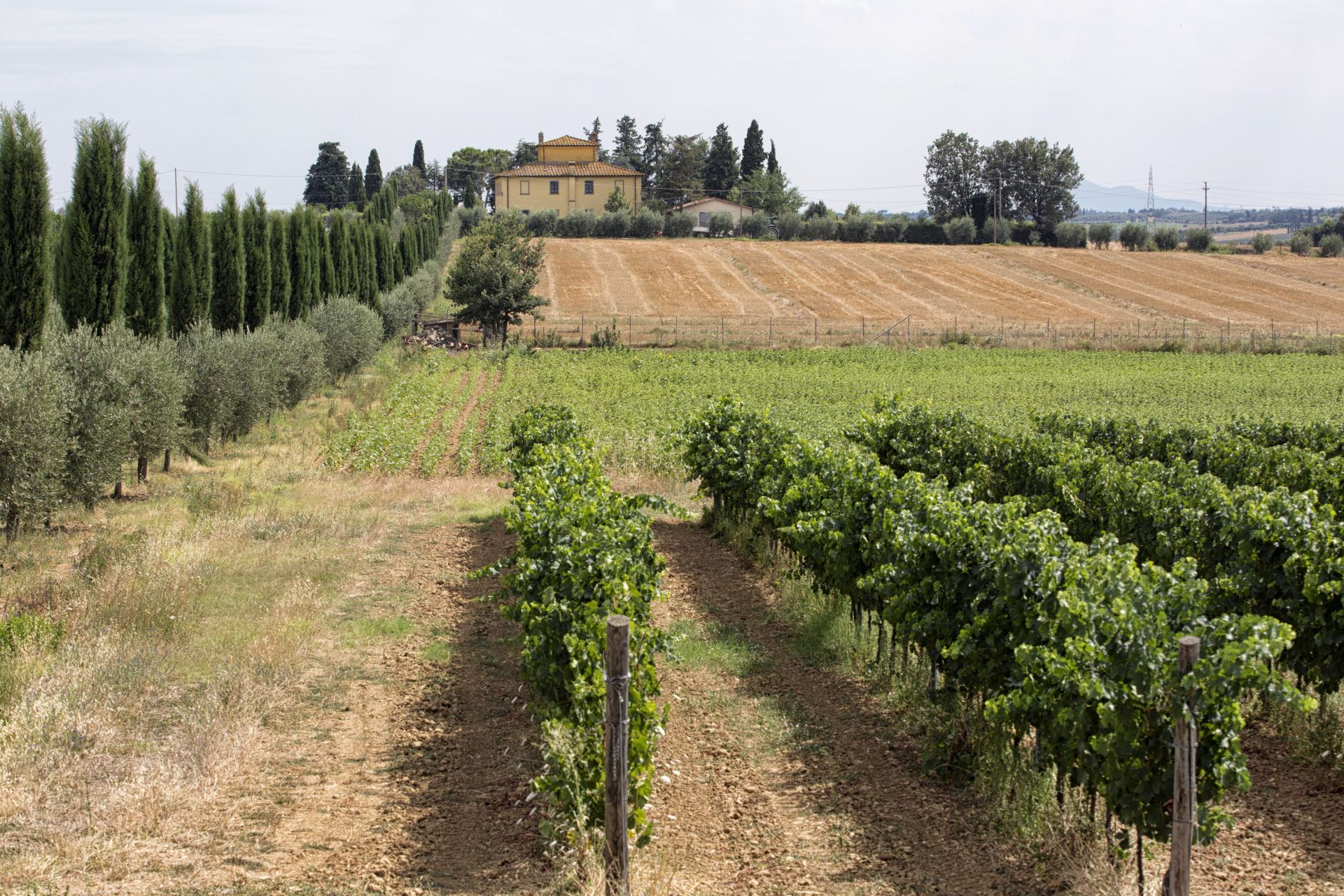 VILLE CON PISCINA VILLA LA COLOMBAIA CORTONA TOSCANA
