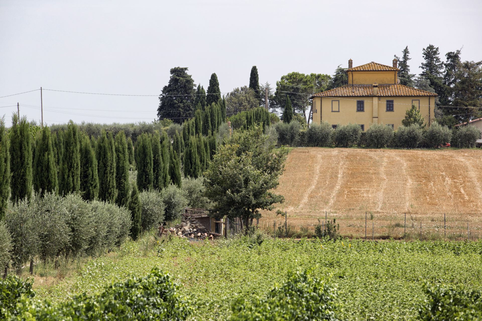 VILLE CON PISCINA VILLA LA COLOMBAIA CORTONA TOSCANA