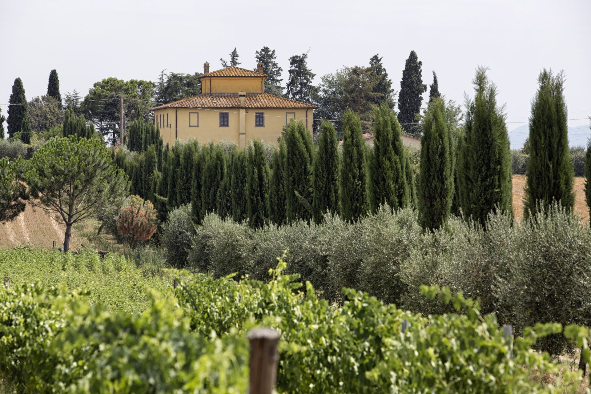 VILLE CON PISCINA VILLA LA COLOMBAIA CORTONA TOSCANA