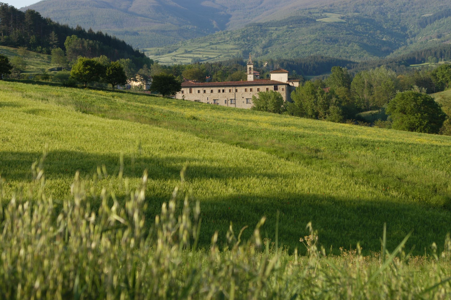 VILLAS WITH POOL LA BOUTIQUE DEL CARDINALE BIBBIENA TOSCANA