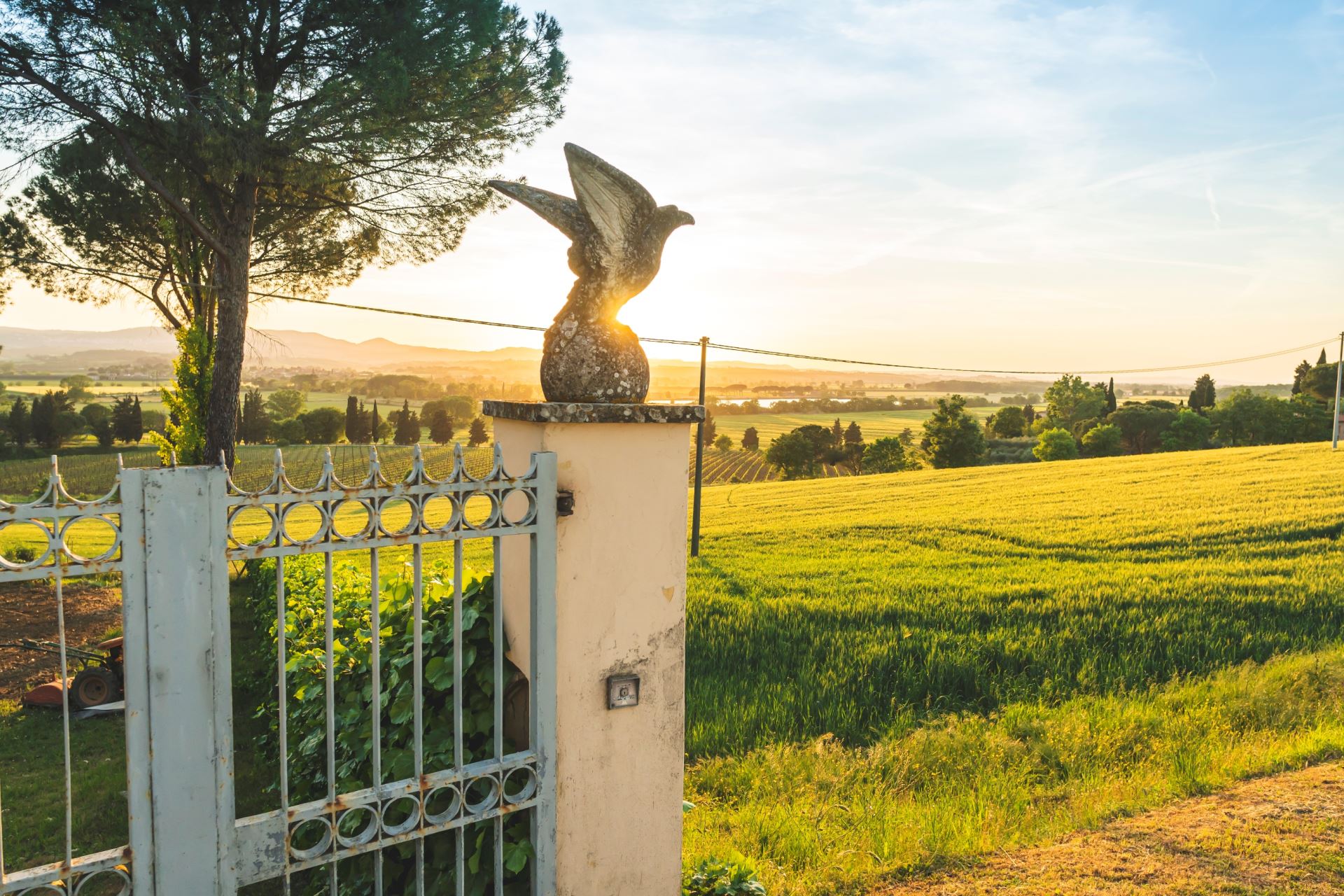 VILLAS AVEC PISCINE POGGIO FALCONE 6 CASTIGLIONE DEL LAGO UMBRIA