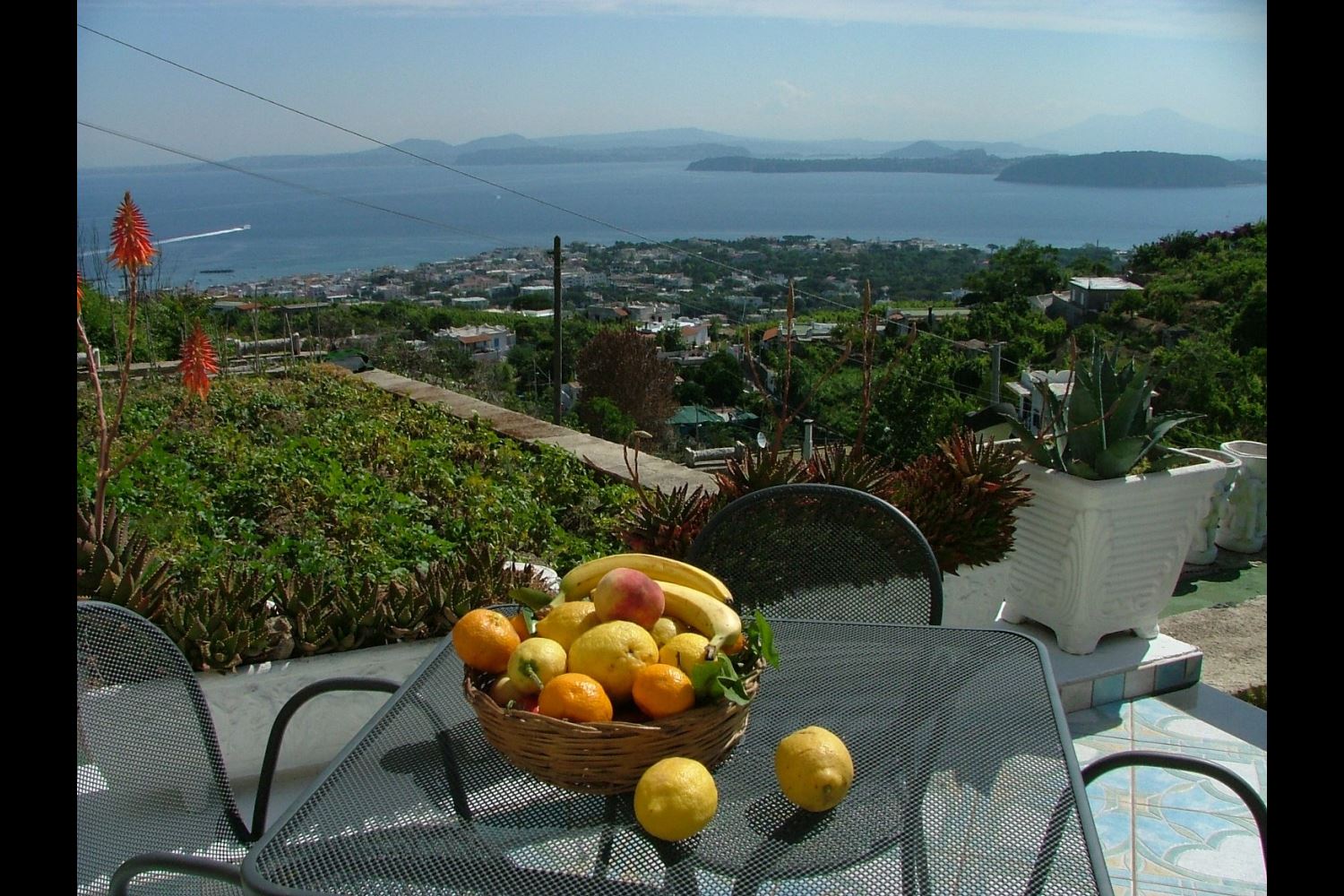 APPARTEMENTS AVEC PISCINE SAN MONTANO BARANO D'ISCHIA CAMPANIA