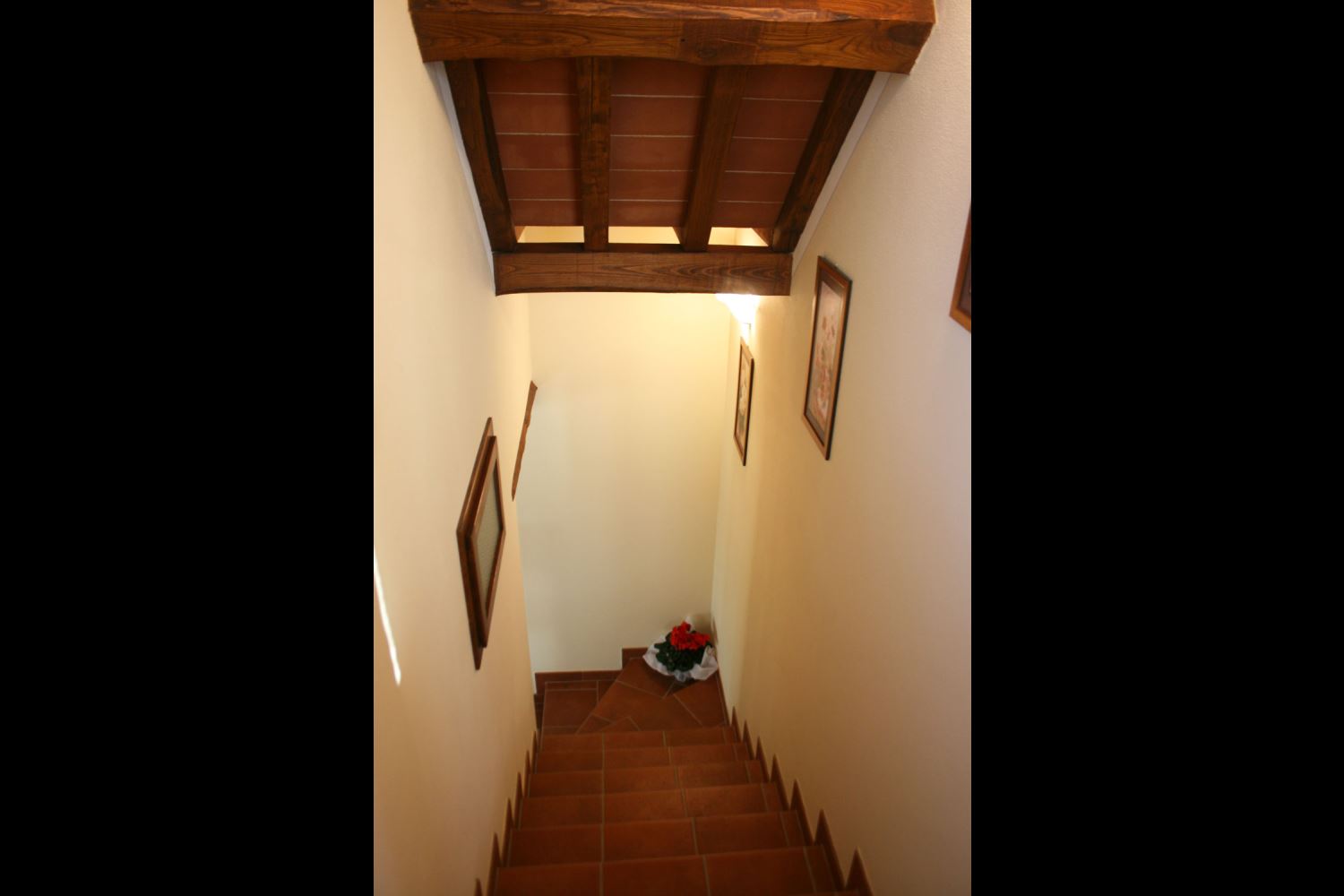 VILLAS WITH POOL PODERE CANTALENA CORTONA TOSCANA